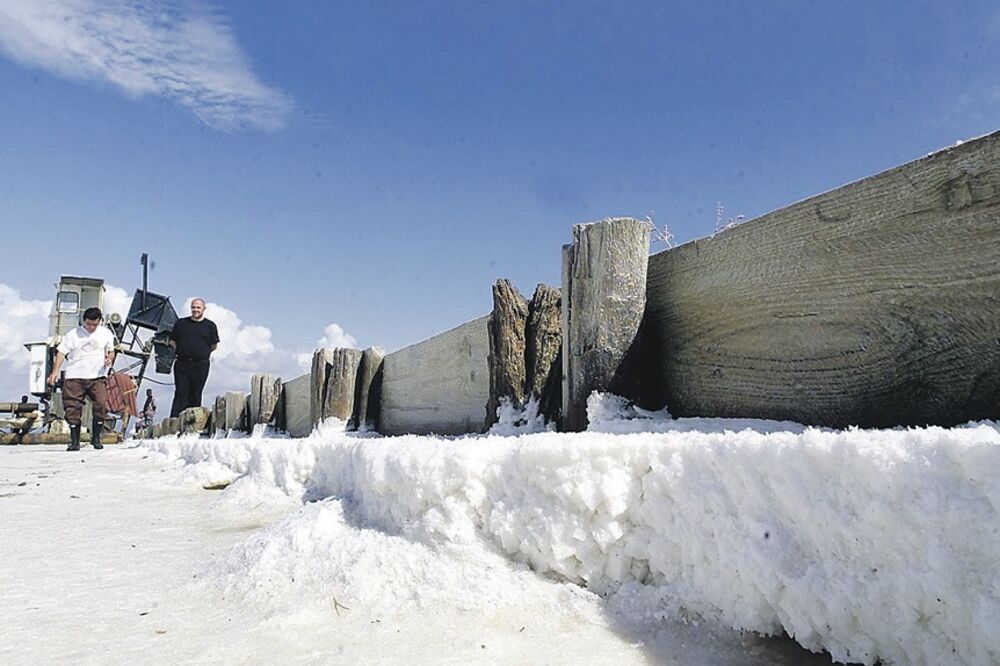 Solana Bajo Sekulić, Foto: Arhiva Vijesti