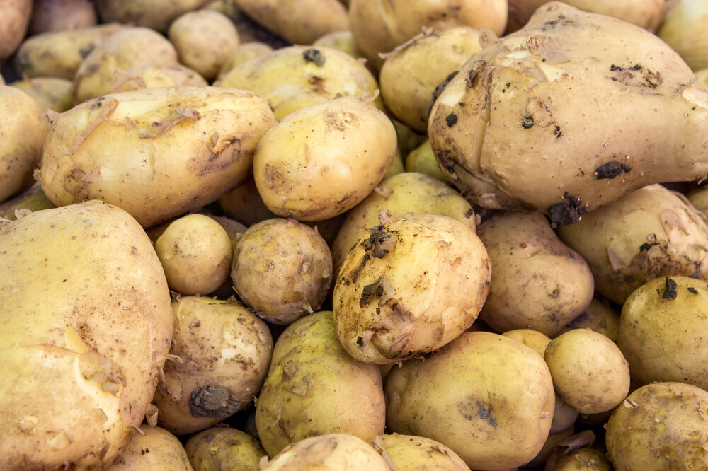 krompir, Foto: Shutterstock