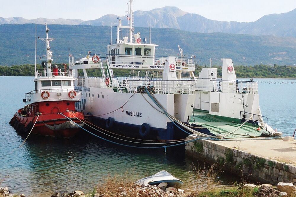 Mulo Bazdanj, Foto: Siniša Luković
