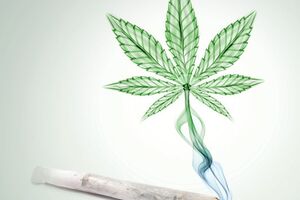 Kod Mrdaka pronašli 12,8 grama marihuane