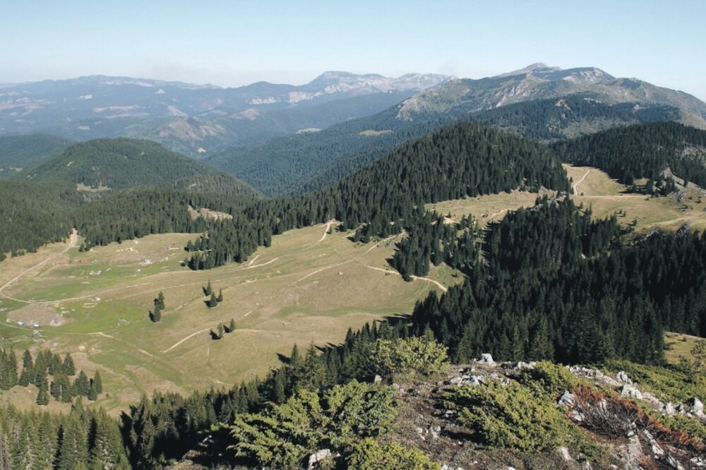 Hajla, Foto: Aida Sadiković