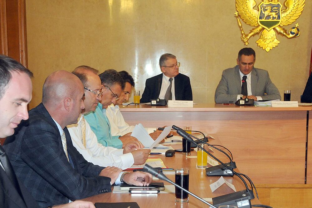 Anketni odbor Skupštine, Foto: Zoran Đurić