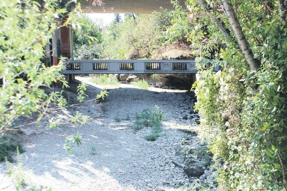 Ribnica, Foto: Filip Roganović