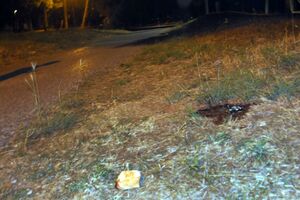 Labradora na brdu Gorica nemilosrdno ubio bivši policajac?