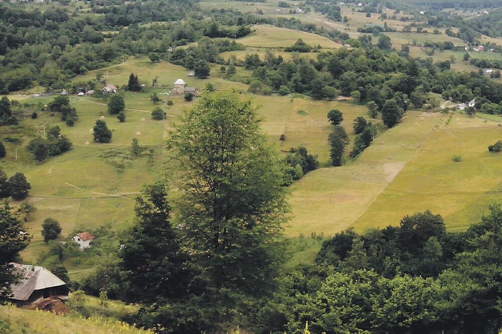 Grab, Foto: Jadranka Ćetković