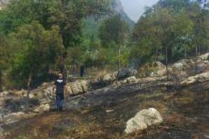 Herceg Novi: Ugašen požar kod škole na Podima