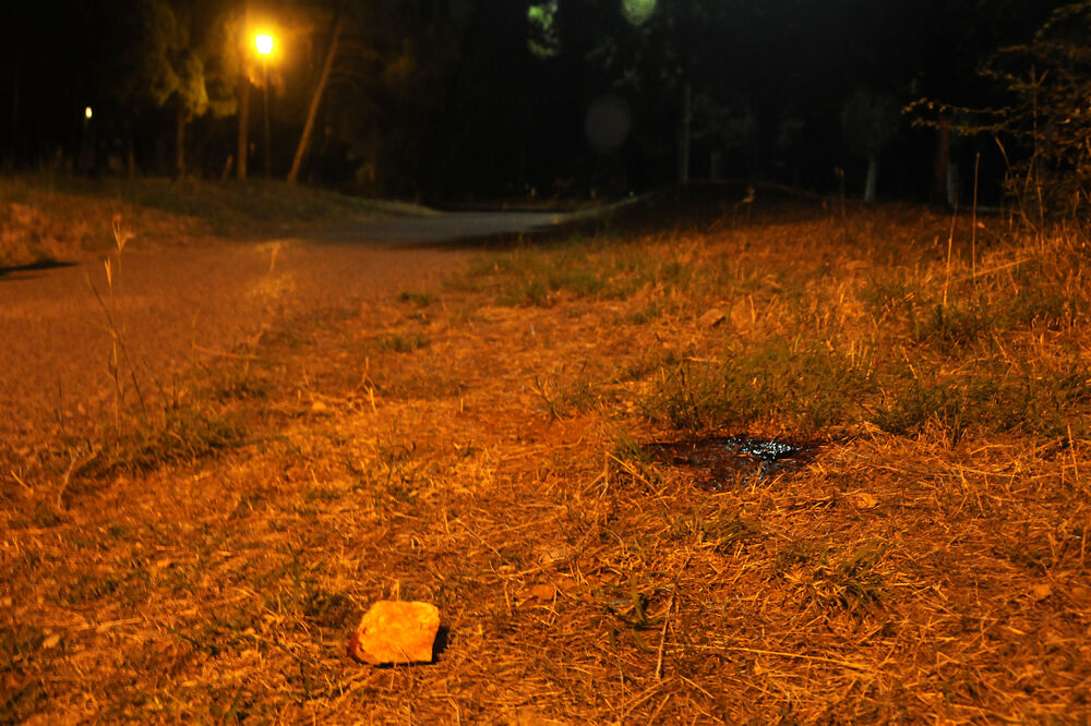 Gorica ubijen pas, Foto: Boris Pejović