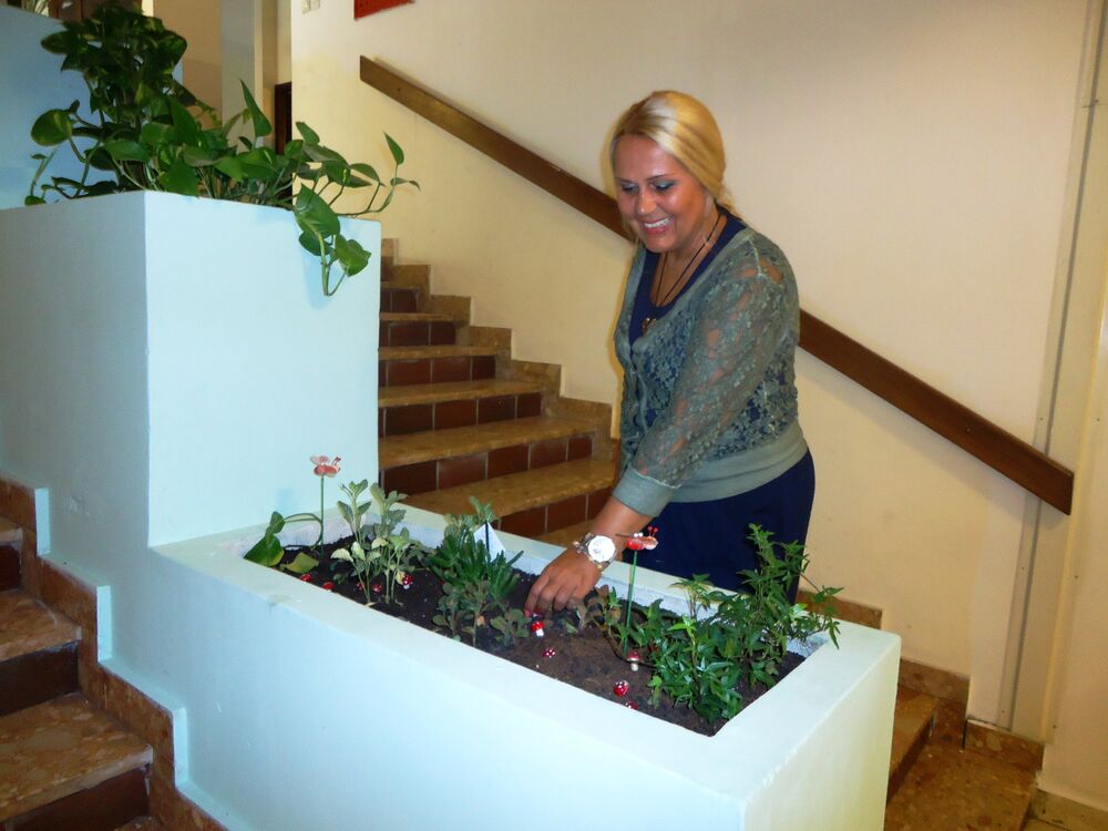 Ružica Lazarević, OŠ Drago Milopvić