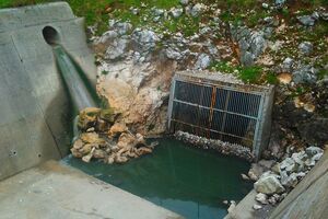 SDP: Na Cetinju bi samo trebalo da mirišu lipe