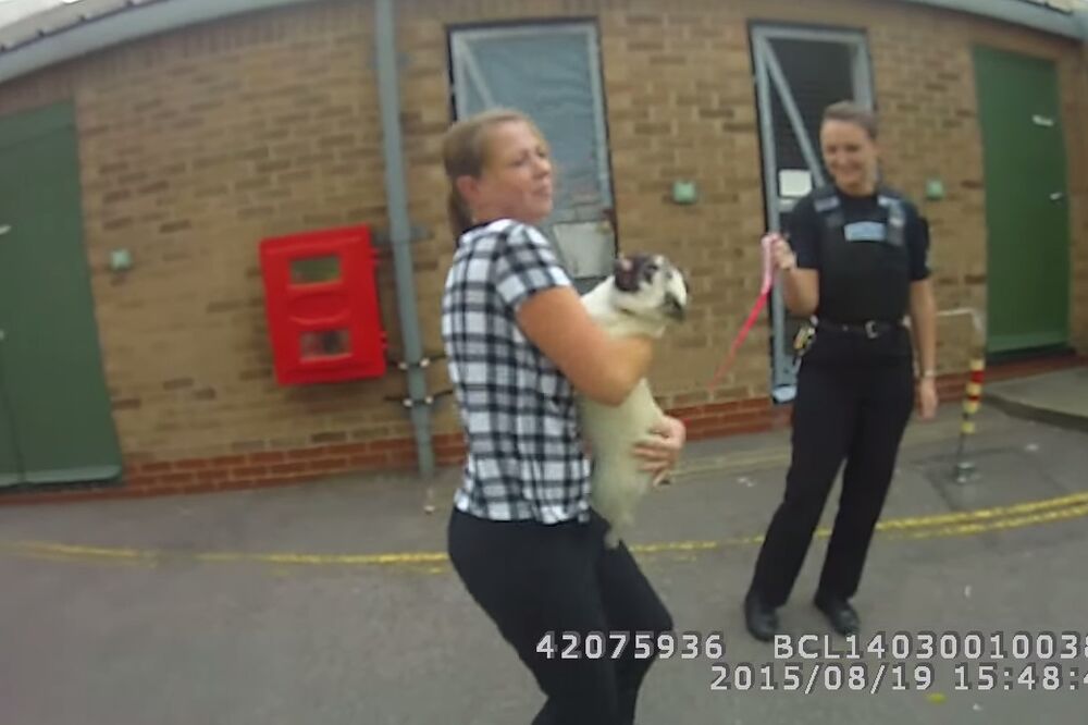 Lola se vratila vlasnici, Foto: Screenshot (YouTube)