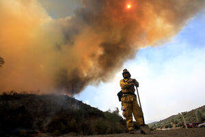 Oko 400 vatrogasaca gasilo šumski požar u Portugalu
