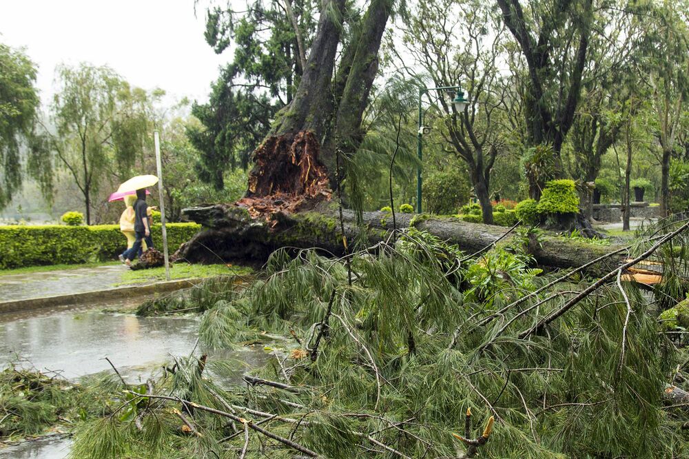 Filipini tajfun, Foto: Reuters