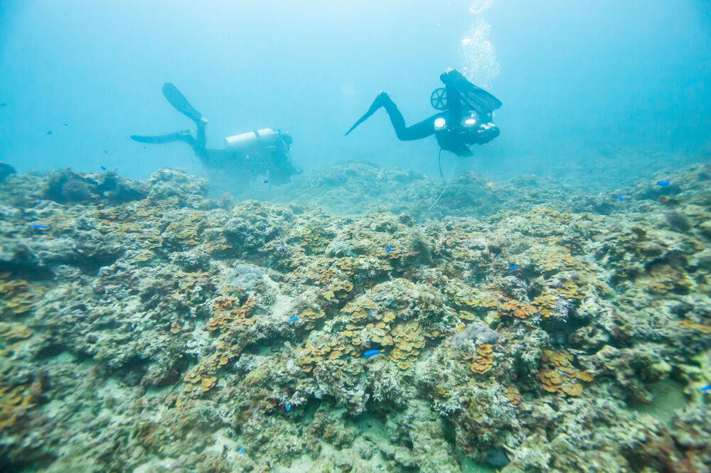 more, pod morem, Foto: Shutterstock