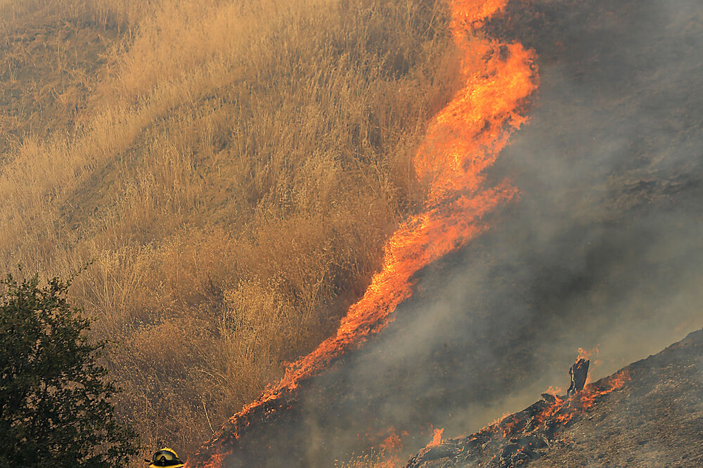 Kalifornija požar, Foto: Beta/AP