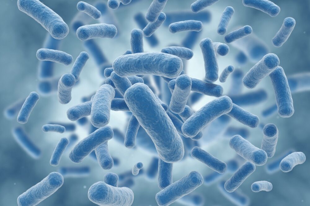 Virus, Foto: Shutterstock