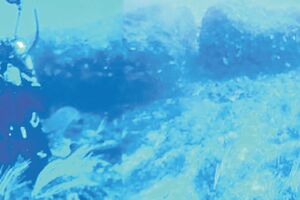 Sredozemno more čuva pratajne