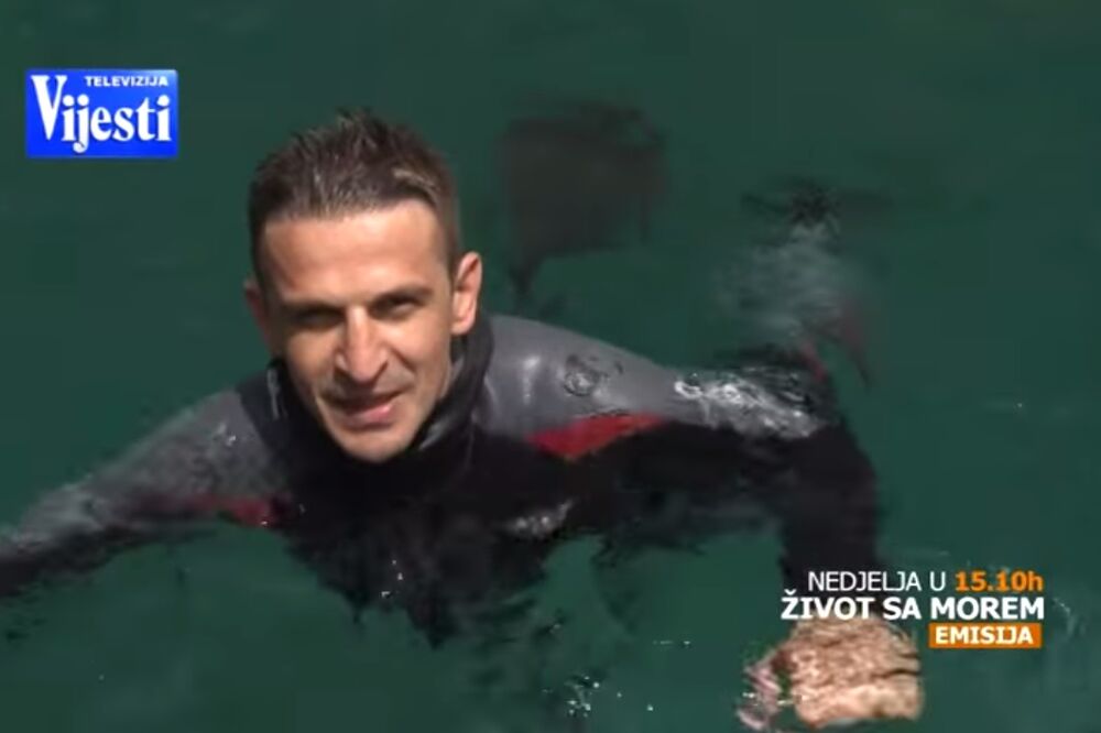 Život sa morem, Foto: Screenshot (YouTube)