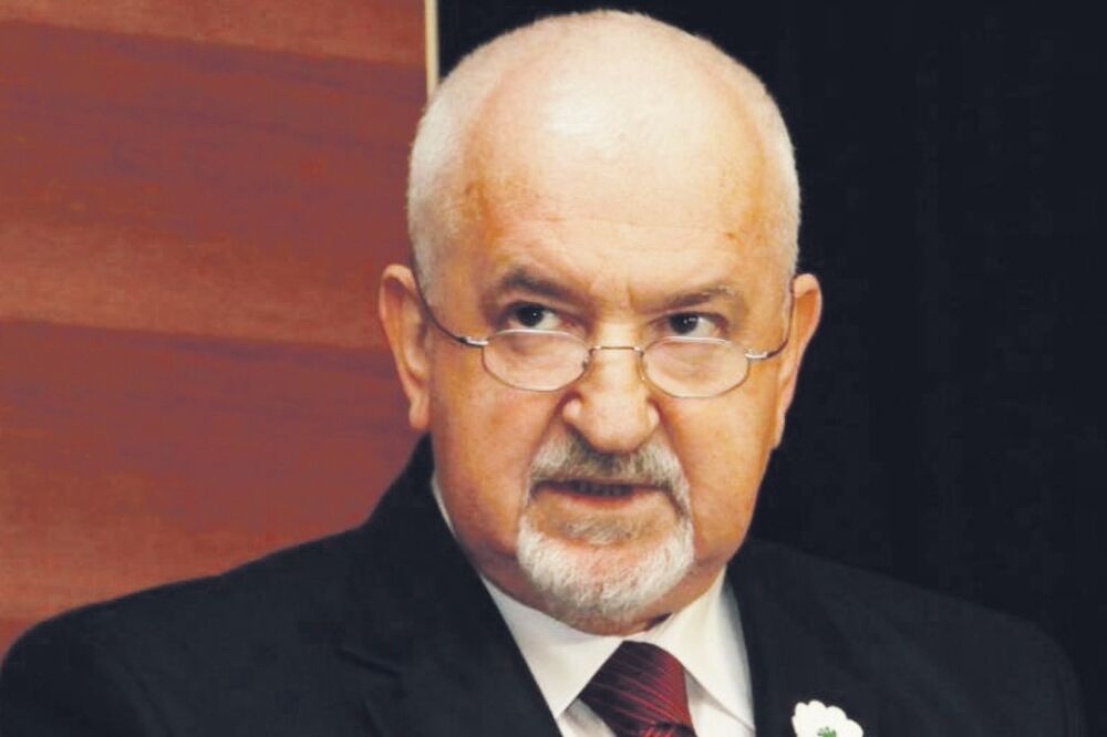 Mustafa Cerić (Novina)