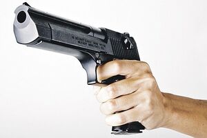 Uhapšen Deda Berišić