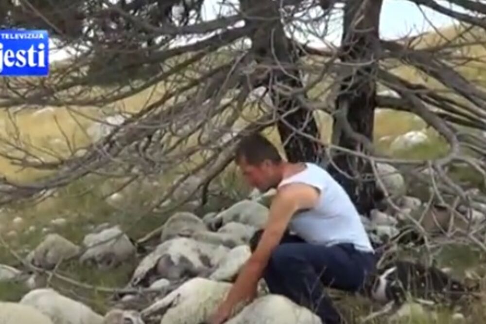 Željko Ćalić, Foto: Screenshot (YouTube)