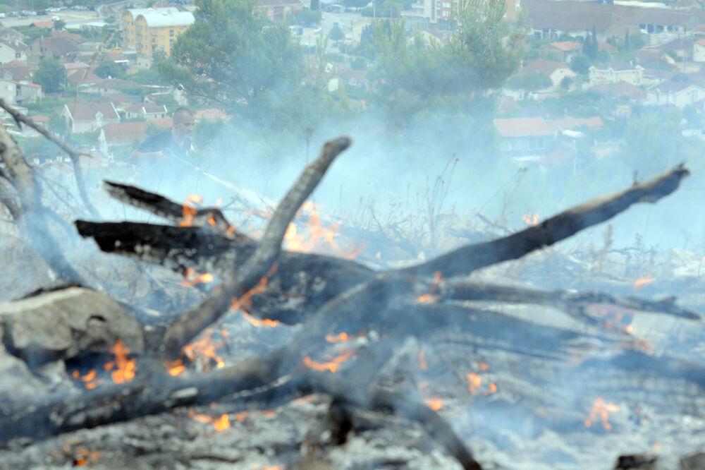 požar Podgorica, Foto: Savo Prelević