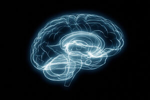 Nemoguće je obavljati više stvari odjednom, skoncentrišite se na...