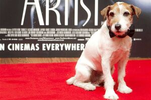Umro pas Agi, zvijezda iz filma "Umjetnik"