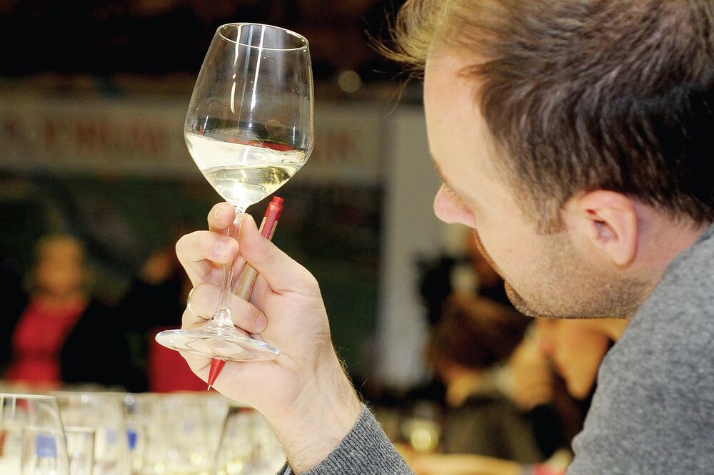 Vino, čovjek, Foto: Savo Prelević