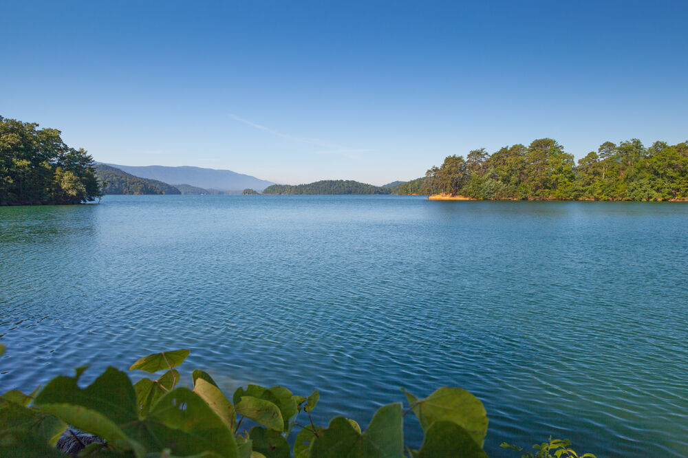 jezero, ilustracija, Foto: Shutterstock