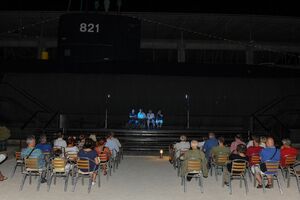 Na „Purgatorijama“ promovisana interesantna knjiga o podmorničarima