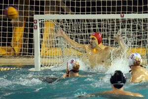 Šefik pojačao kragujevački Radnički