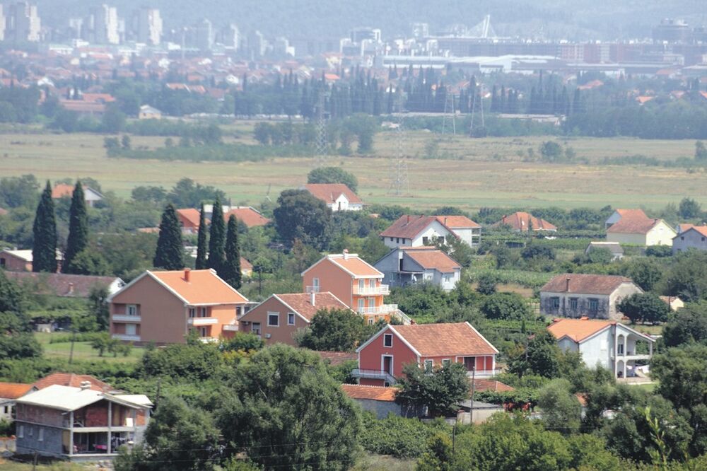 Beri, Foto: Vesko Belojević