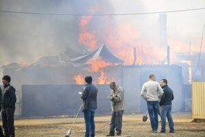 Gore hektari šuma u Sibiru