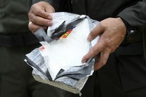 U Italiji zaplijenjeno 49 kg kokaina među smrzutim lignjama