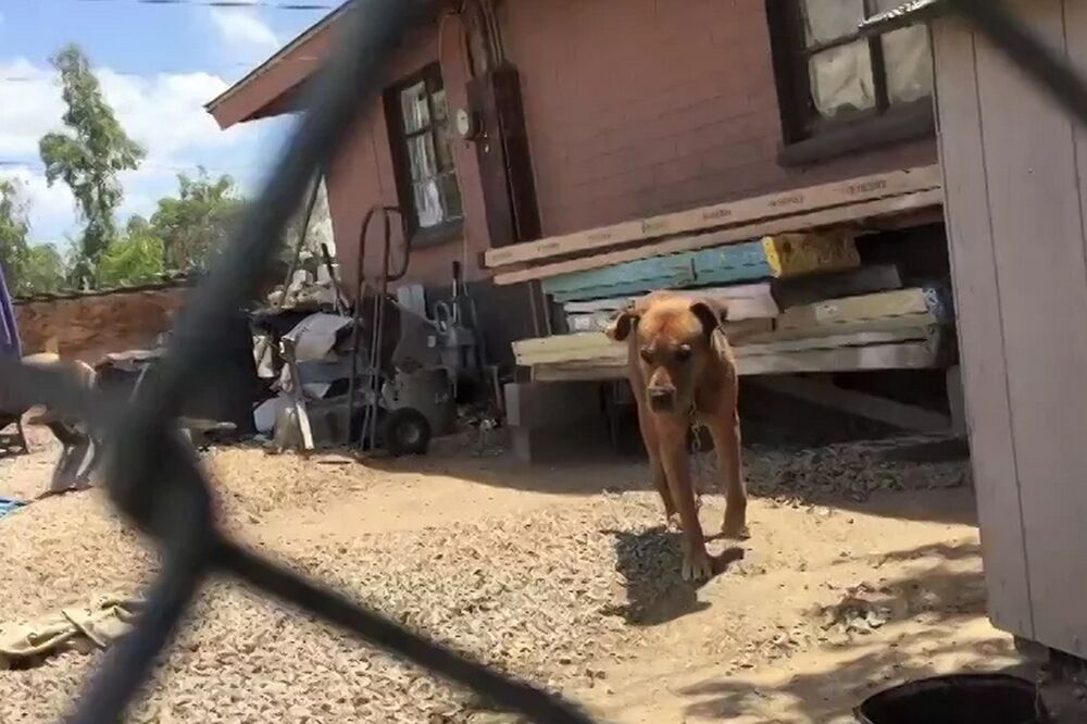 Džared Pajper, Foto: Screenshot (vimeo)