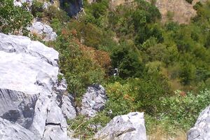 Dileri prešli u Albaniju, audi završio u provaliji