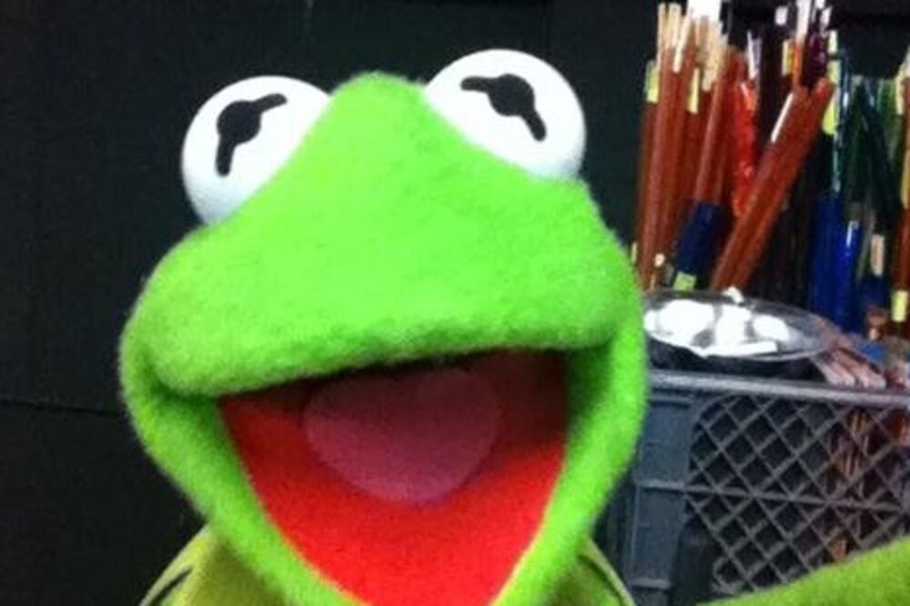 Kermit, Foto: Twitter