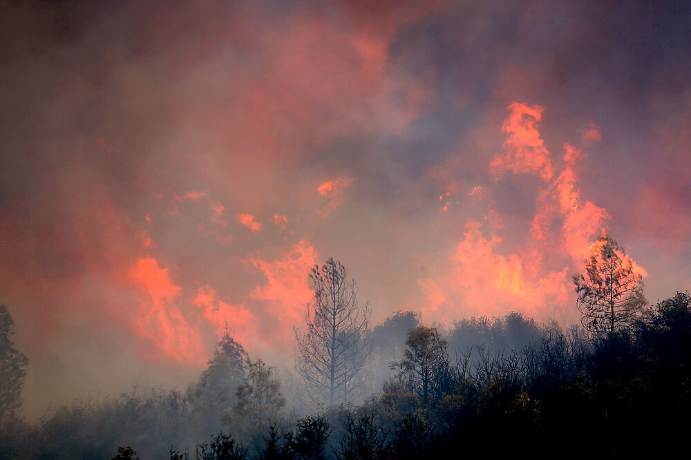 Kalifornija požar, Foto: Beta/AP