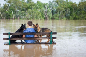 Poplave u Tetovu, među poginulima četvoro djece