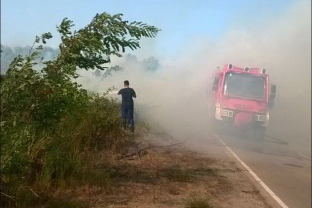 Briska Gora, Foto: Samir Adrović