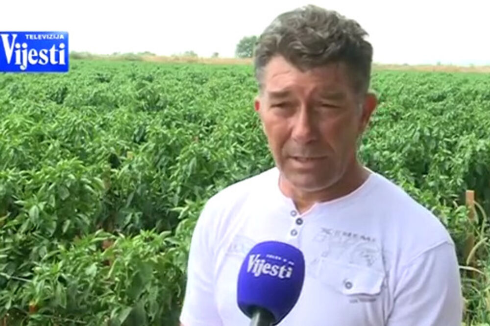 Poljoprivreda, Željko Milić, Foto: Printscreen (YouTube)