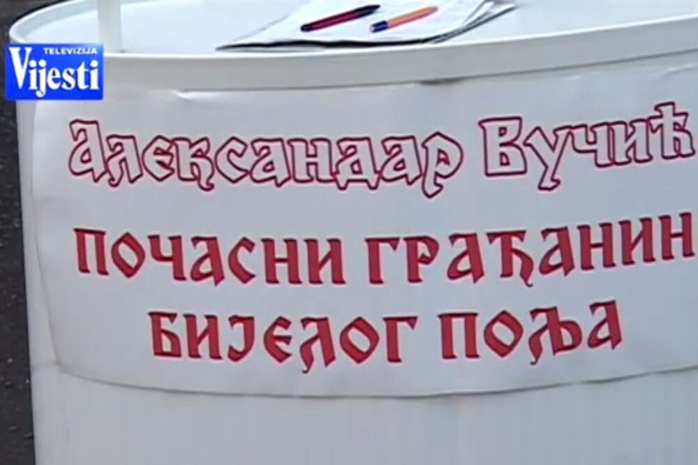 Aleksandar Vučić, Foto: Screenshot (YouTube)