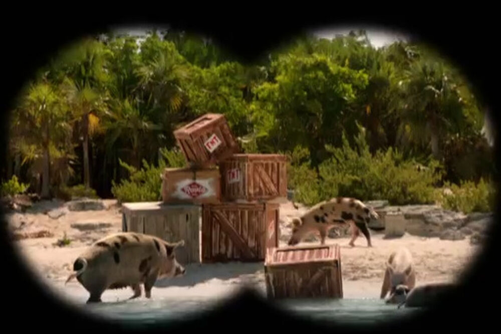 Angry Birds, Foto: Printscreen (YouTube)