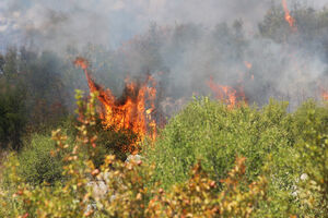 Preko 900 požara u julu
