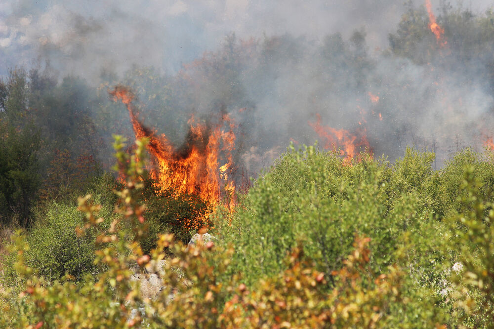 Komani požar, Foto: Filip Roganović