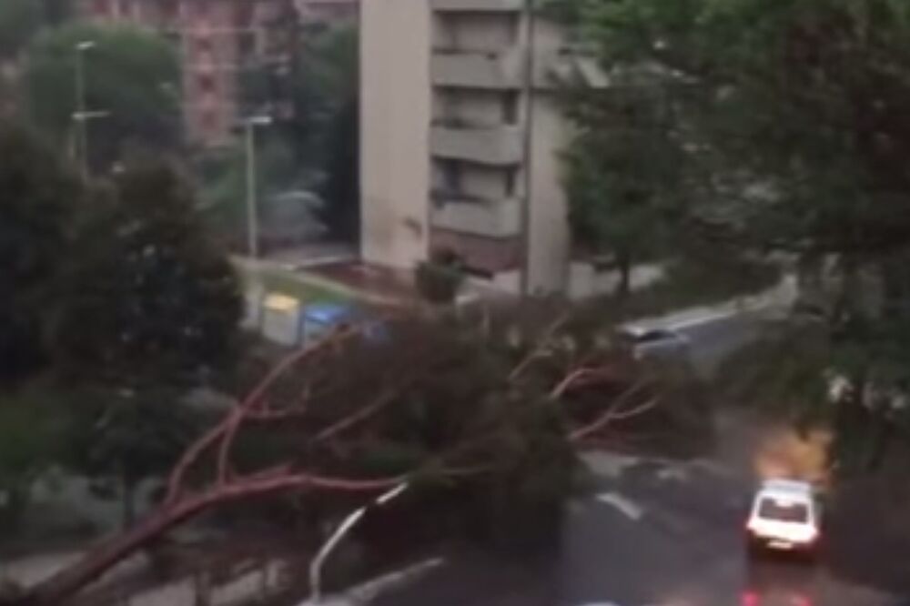 Firenca, Foto: YouTube