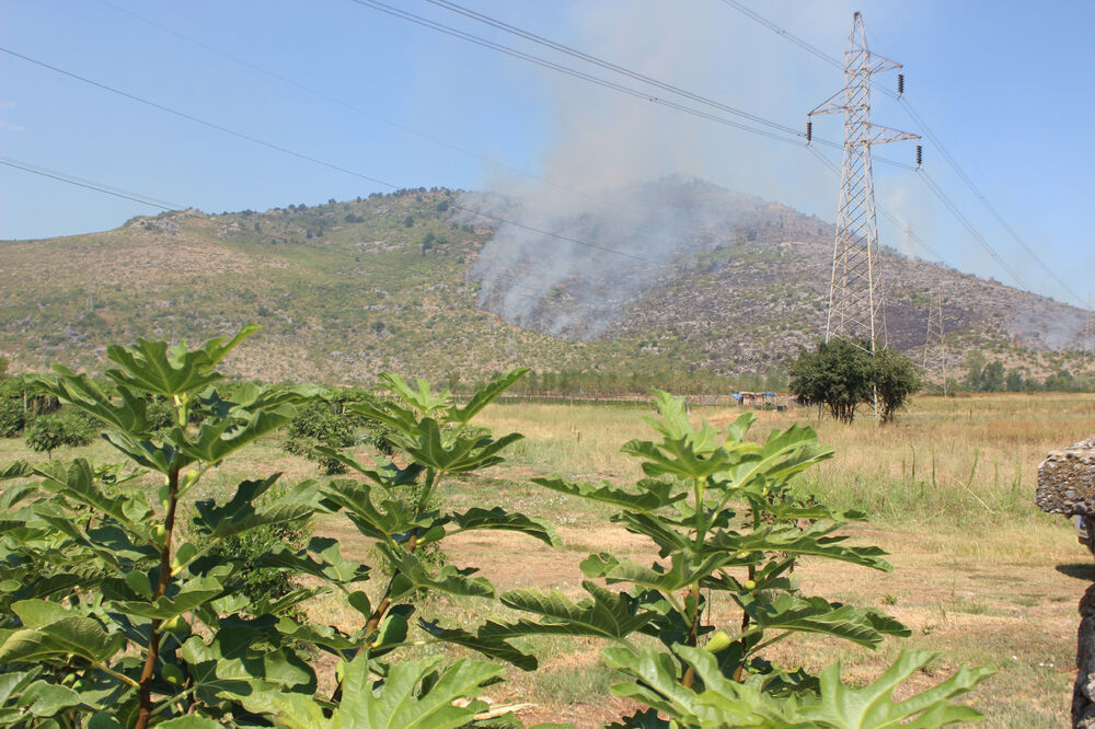 Podgorica požar, Foto: Filip Roganović