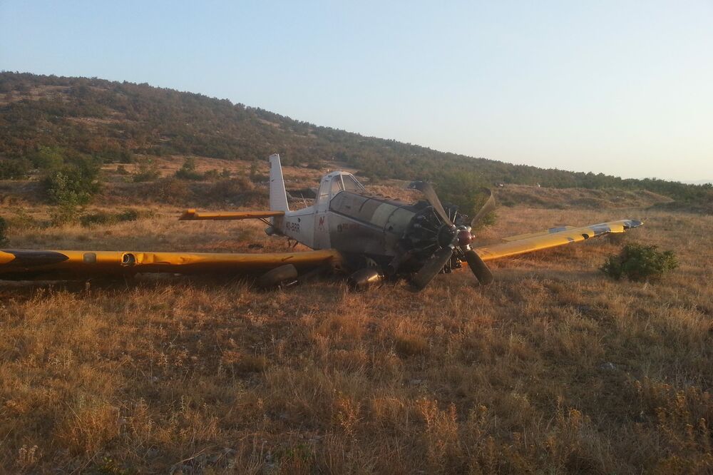 dromader, Foto: Aleksandar Popović