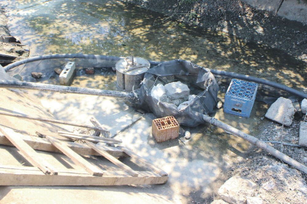 Plantaže, kanal, Foto: Filip Roganović