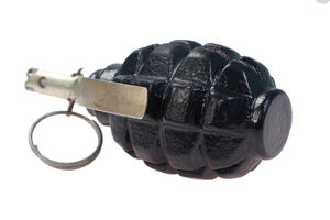 Bomba bačena ispred policijske stanice u Skoplju